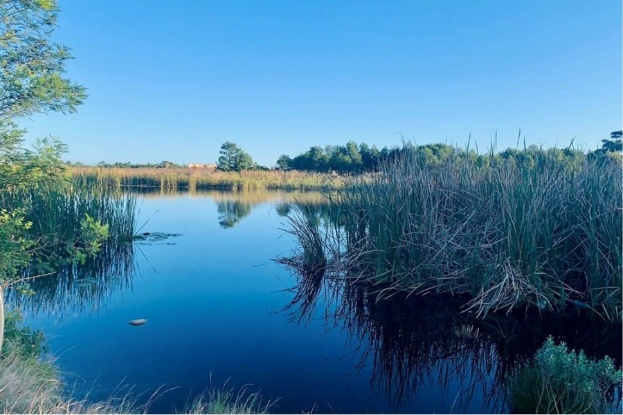 Commercial Property for Sale in Hansmoeskraal A H Western Cape